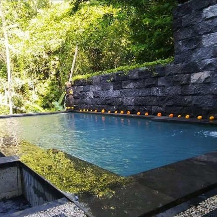 Ubud Harmony Private Villa And Pool Εξωτερικό φωτογραφία